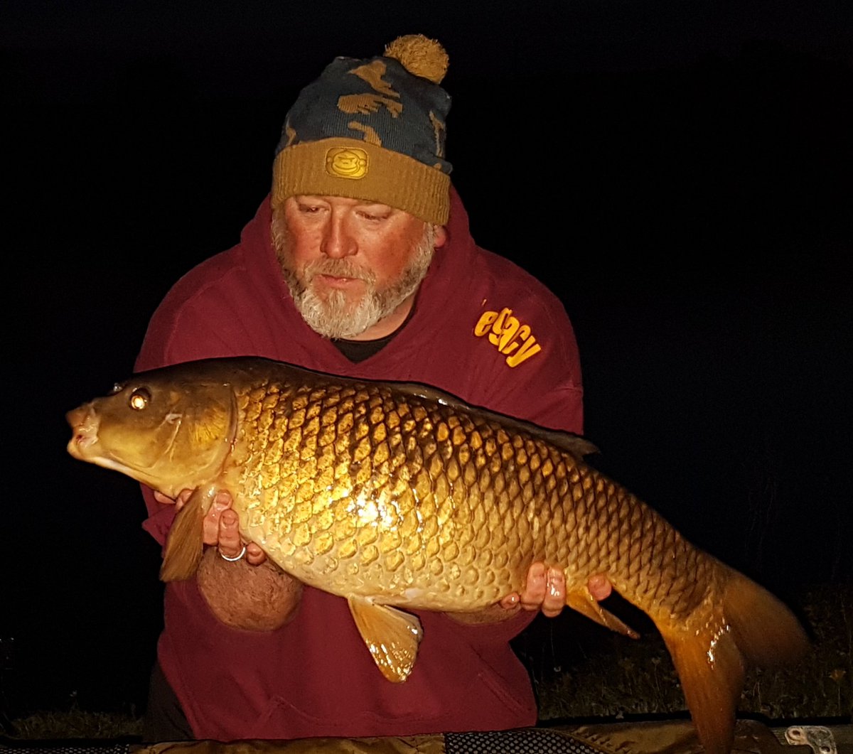 GannawayRobert's tweet photo. Couple from last night
#CommonCarp
#RobbMojo 
#LegacyBaits 
#SharpTackle https://t.co/twY1ppTkcY