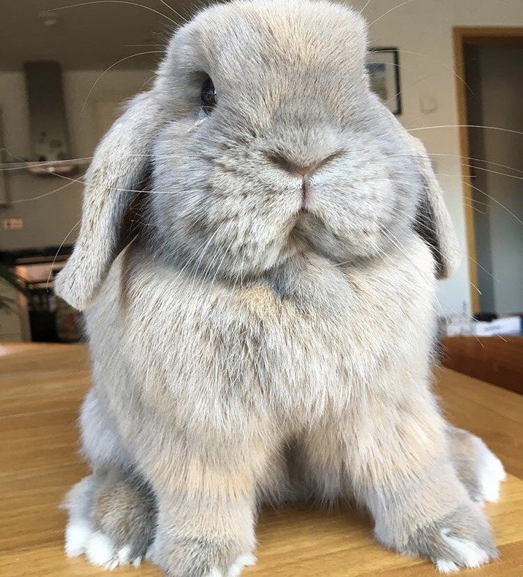 𝐬𝐚𝐲𝐜⚯𝐥𝐞𝐧𝐠𝐥𝐢𝐬𝐡™🧠📚🐈⬛ tweet media