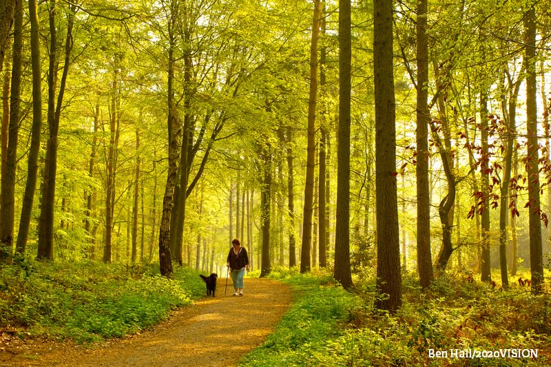 The Wildlife Trusts tweet media