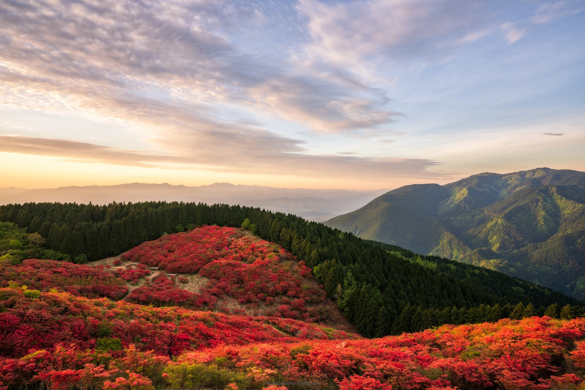別所隆弘 Takahiro Bessho 葛城山山頂 一面のツツジの上に朝日が射します 真っ暗な山を1時間半程かけて登山して初めて見られる絶景です 本当に美しい夜明けでした 奈良県 葛城山 ツツジ r3 T Co 98gmfe9lmr Twitter