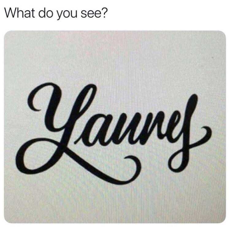 w_e_r_d's tweet photo. @TravelPaiges So what do you SEE?
Yanny or Laurel? https://t.co/AWf68jpey7