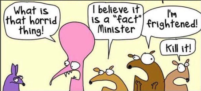 elliemail's tweet photo. @ricklevy67 @colleenmenzies @anne_clothier @WgarNews @LadyPoop2 @SNAICC @SNAICC_CEO @RachelQuayle08 @BraybrookA @JennyPineapple2 @Bunbajee @joewilliams_tew @OddemocracyA @AMSANTaus @WhteRbbnAdvocat @NACCHOAustralia @RightsLGBTI @GoldCoastNurse @DeSouzaRN @OnTopicAus @bevhenwood @IndigenousXLtd @IndigenousDX @congressmob @GerryGeorgatos @georgina_116 @Biggy1883 @DeboraMorf @suthernx @paulinehollywoo There you go with these PESKY facts again Rick.
@PeterDutton_MP won't be happy with you undermining his rhetoric.
#LNPexposed https://t.co/PJj8sMRbGZ