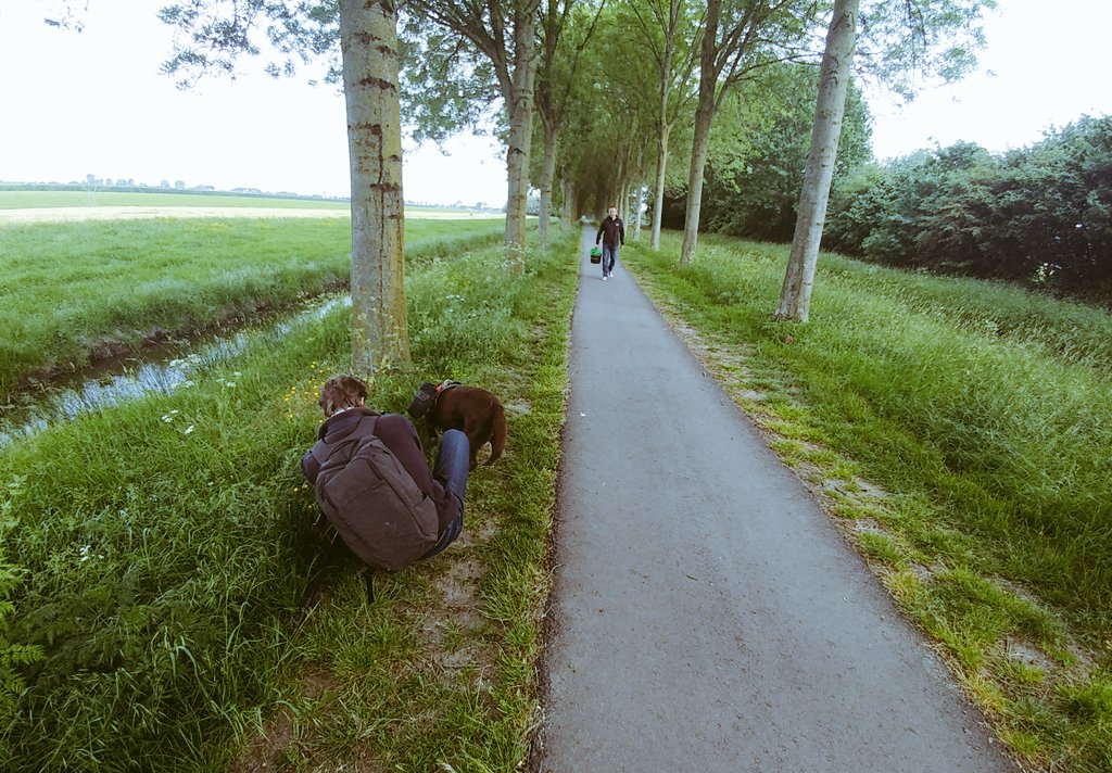 Al jaren zorgt hond Joy van Alex van Eck dat ons(!) #zwerfafval in de vuilnisbak komt. Vandaag opnames gemaakt met #enjoycleaningup in #ijsselstein . #duurzaam #plasticpollution
