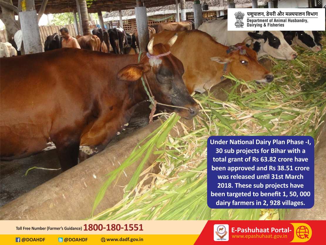 Dept of Animal Husbandry & Dairying, Min of FAH&D on Twitter: Dept of Animal Husbandry & Dairying, Min of FAH&D on Twitter: