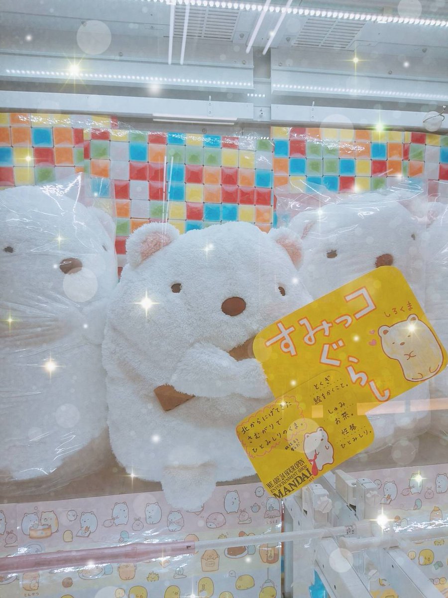 万代仙台南店ufoキャッチャーコーナー A Twitter ぬいぐるみたくさん入荷中 ๑ ㅂ ๑ すみっコぐらしから しろくまちゃん とにかく超モフモフでフワフワ 趣味がお茶 とか意外すぎて可愛いんだけど 万代 万代仙台南店 すみっコぐらし しろくま