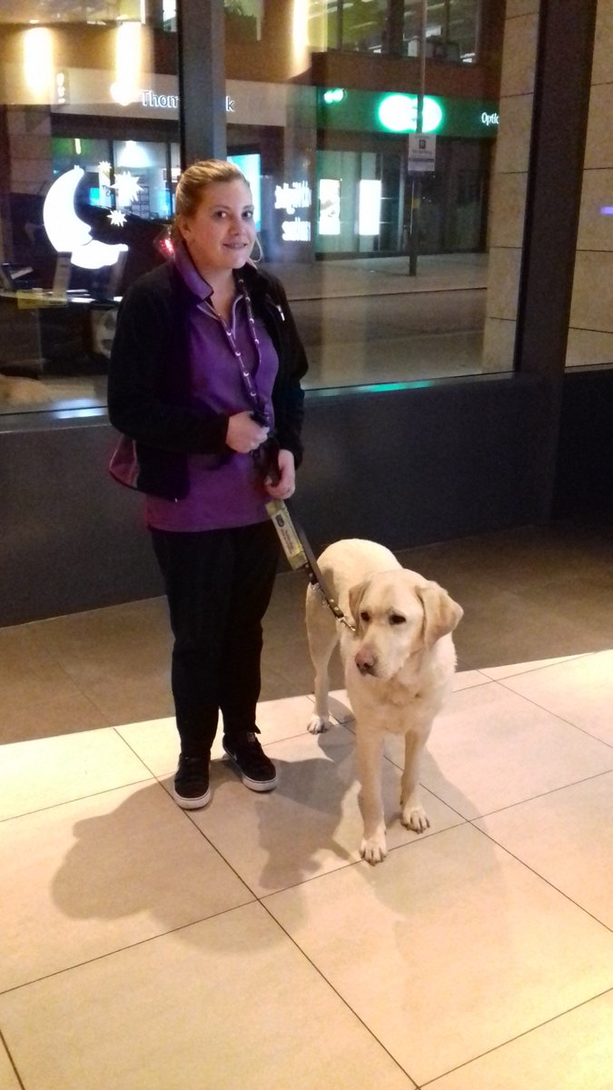 pi_longbridge's tweet photo. Our Head Housekeeper Emma absolutely loving her job today😍 taking Darren one of our guests guide dog for his daily scroll https://t.co/usRWaNWQpS