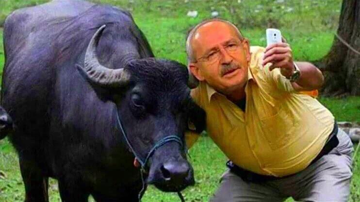 hasanoner16's tweet photo. Rahşan Ecevit nasıl 7 yildir şuurunu kaybedip dışkısını yiyorsa sizde yiyeceksiniz https://t.co/dpGQ1Et9J3