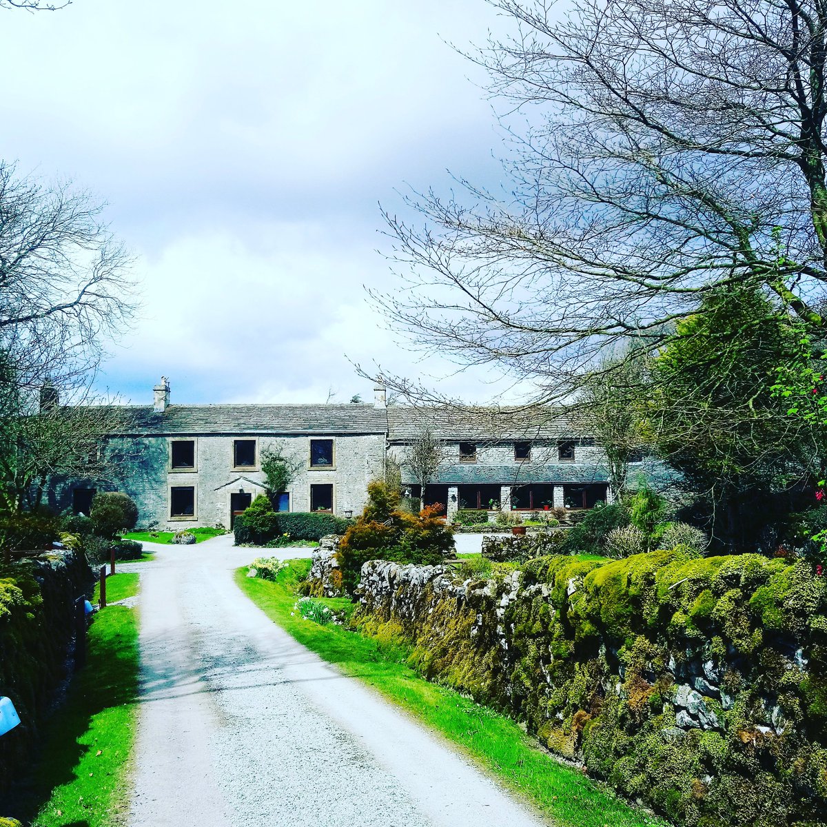 Mindfulspace Co. tweet media