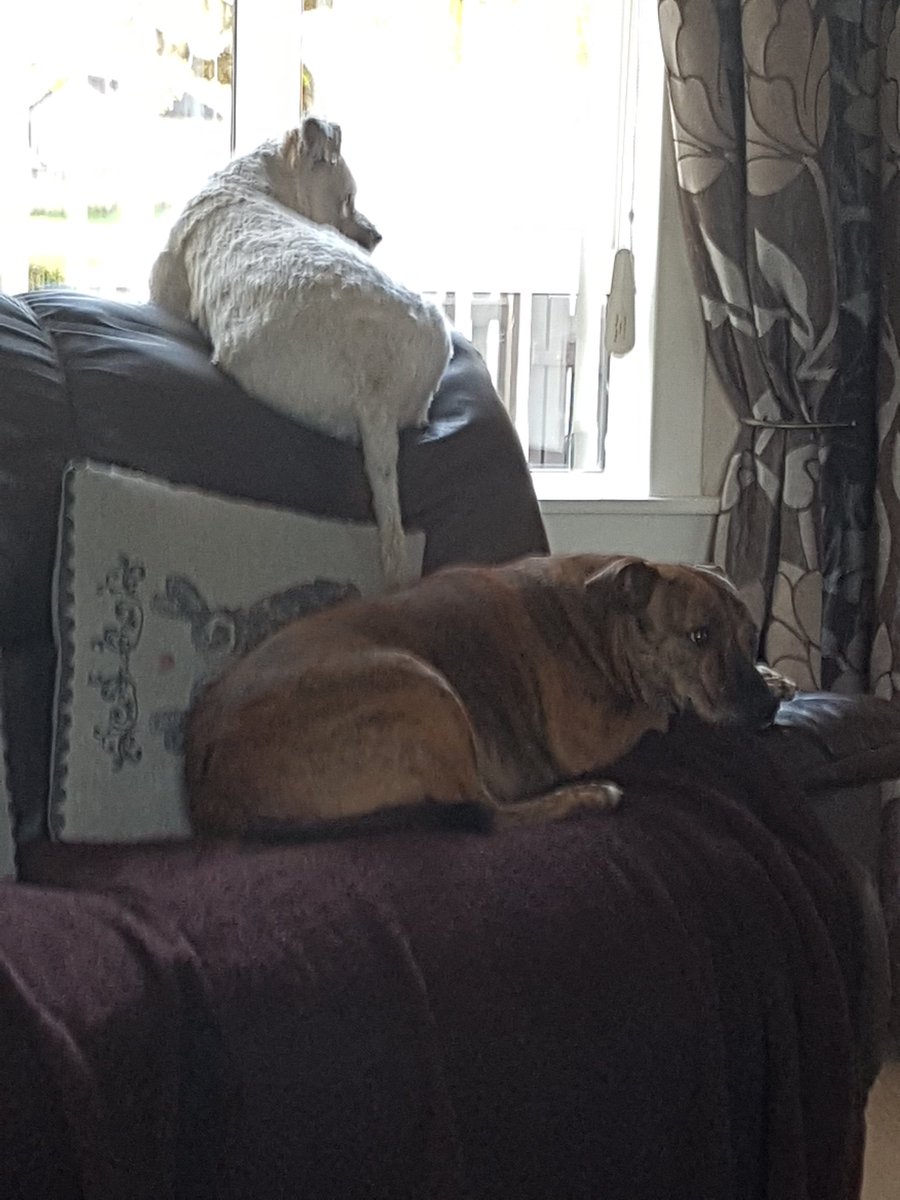 mitch00's tweet photo. That's my boys . https://t.co/YqzIDIoT38