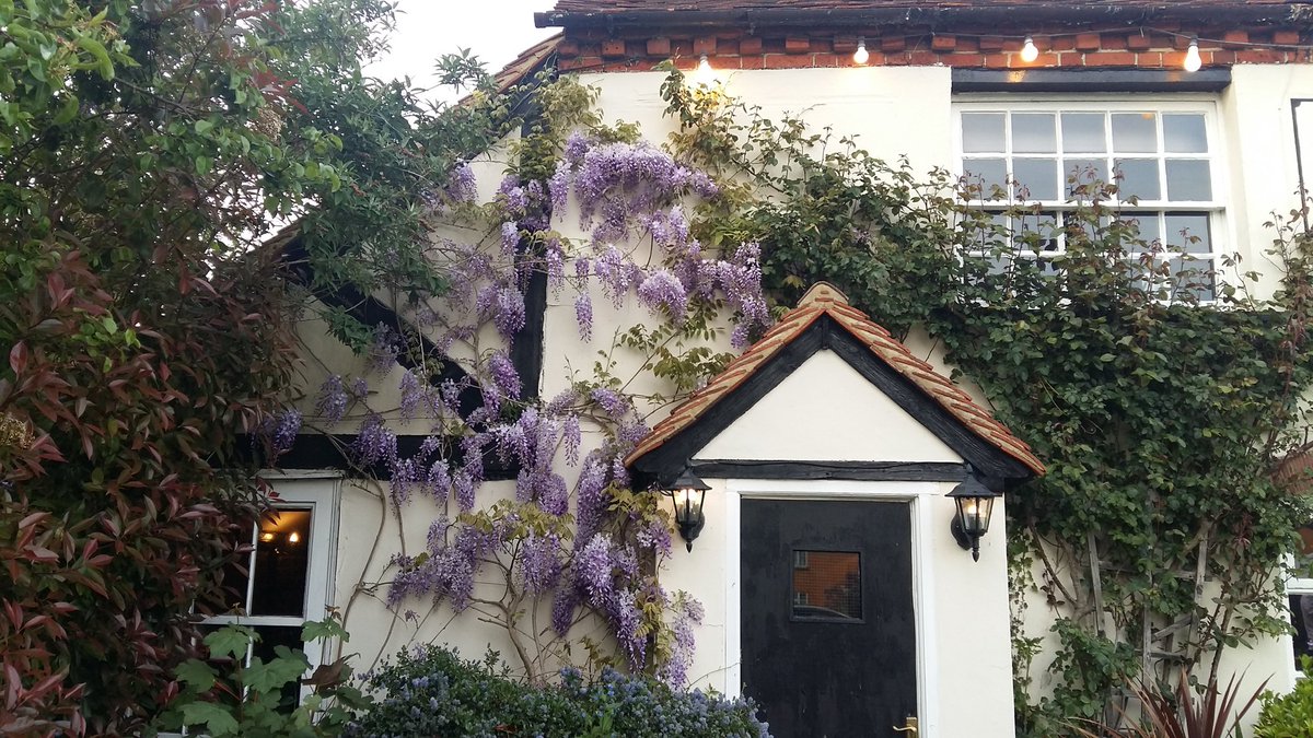 cockinnpolstead's tweet photo. Watch #RoyalWedding today #creamteas #royal #cocktail #pimms #alfresco #lunch @cockinnpolstead #polstead #visitsuffolk #Suffolk #insuffolk https://t.co/rcyiVqDXpp