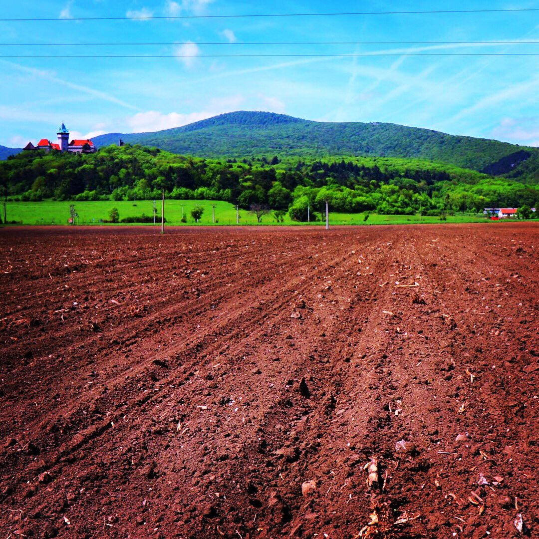 ondro_'s tweet photo. Poľnohospodárske družstvo v Smoleniciach / Agricultural Farm in Smolenice | https://t.co/wCajGukErK | #Smolenice #MaleKarpaty #smolenickyzamok #PolnohospodarskeDruzstvoSmolenice #TrnavaRegion #LittleCarpathians #smolenicecastle #agricultural #AgriculturalFarmSmolenice https://t.co/R8FfDk52MB