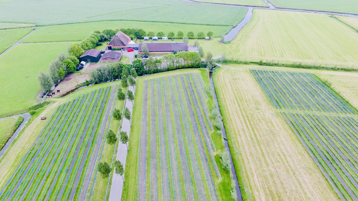 RPBdrone tweet media