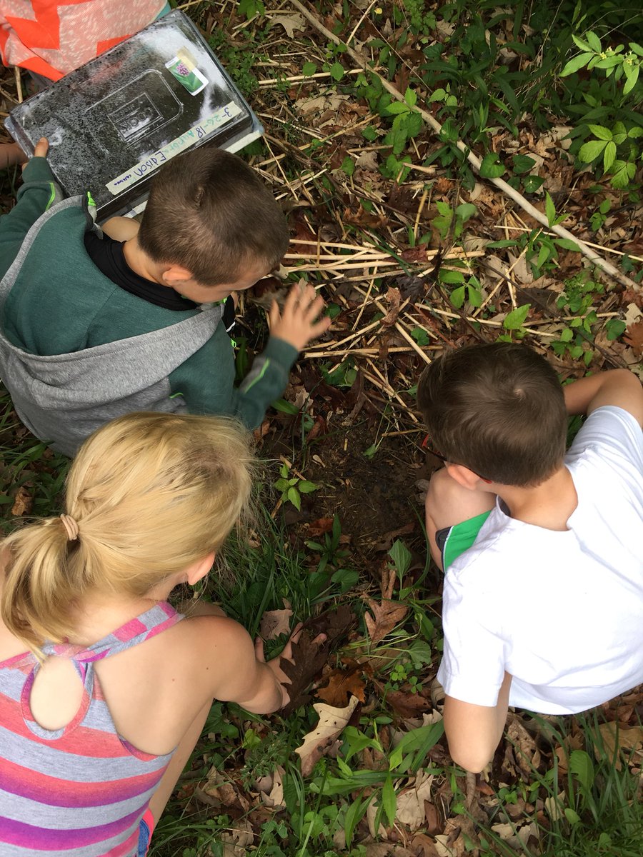 GibbyShane's tweet photo. Great day @UnionvilleES @SycLandTrust #NativePlantProject Students taking home native plants, extras added to woods’ edge, discoveries at the pond, and a surprise trail dedication. https://t.co/QsWwLMpB62