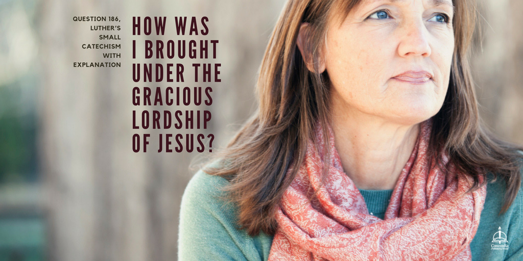 ConcordiaPub's tweet photo. Q: How was I brought under the gracious lordship of Jesus?
A: The Holy Spirit brought me to Jesus by bringing the promise of the Gospel to me and by giving me faith in Christ through that Gospel.
https://t.co/ekMkHenTP0 #Catechism2017 https://t.co/f5RMPMLgIL