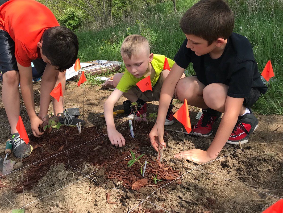 JCLARYcorner's tweet photo. Ryan Park Butterfly garden has been planted! #servicelearning #learningtogive.org #rprhinos #RyanParkRhinos https://t.co/dobB725p6b
