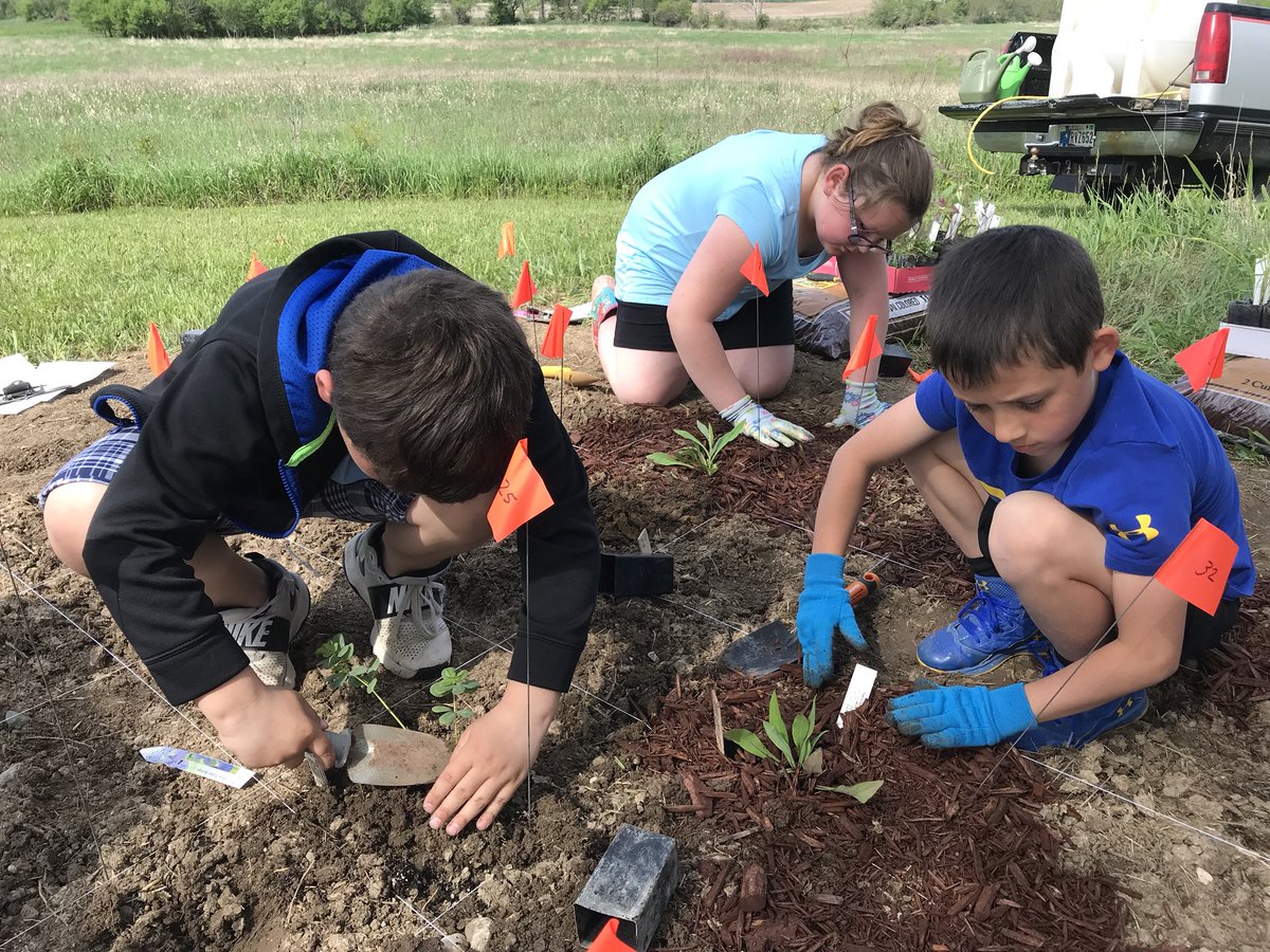 JCLARYcorner's tweet photo. Ryan Park Butterfly garden has been planted! #servicelearning #learningtogive.org #rprhinos #RyanParkRhinos https://t.co/dobB725p6b