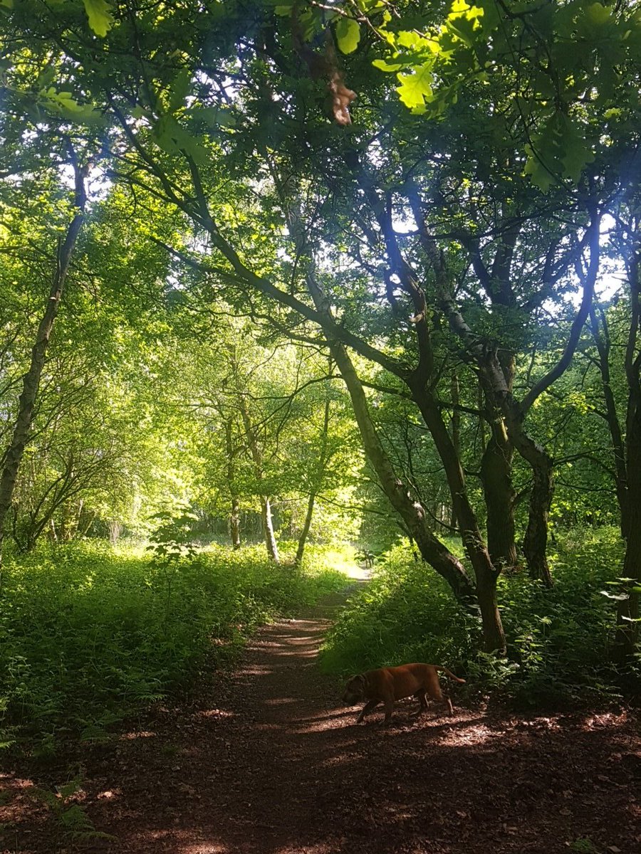 RED01D's tweet image. The sun is shining, the sky is blue......and I'm stuck indoors caking 🤣🤣🤣🤣