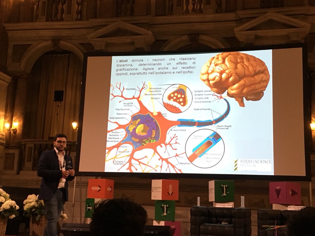 #mfs2018, <a href="/alessioperniola/">alessio perniola</a> nei panni del Dott. Salvo La Pelle ci spiega cosa fa l’#alcol sul cervello: rilascio di dopamina, ma anche danni nella connettività delle sinapsi, specie prima dei 25 anni @MNFoodScience <a href="/multiversi/">multiversi</a>