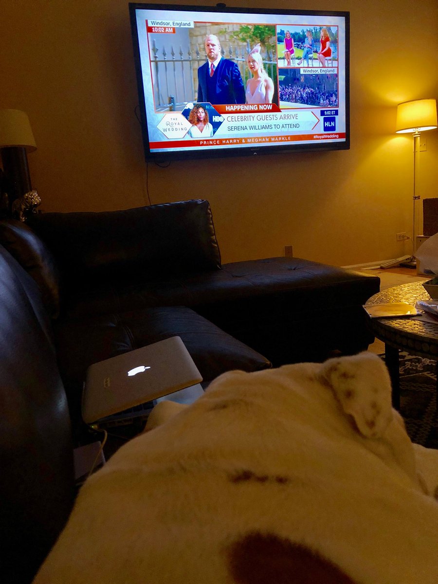Up early watching the royal wedding with my English Bulldog!