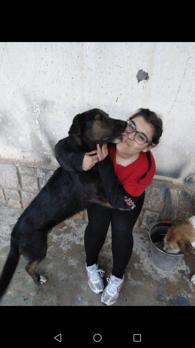 Se busca con muchísima urgencia una casa de acogida o adopción para nuestro queridísimo Poker. 
Si no podéis vosotros porfavor compartid.