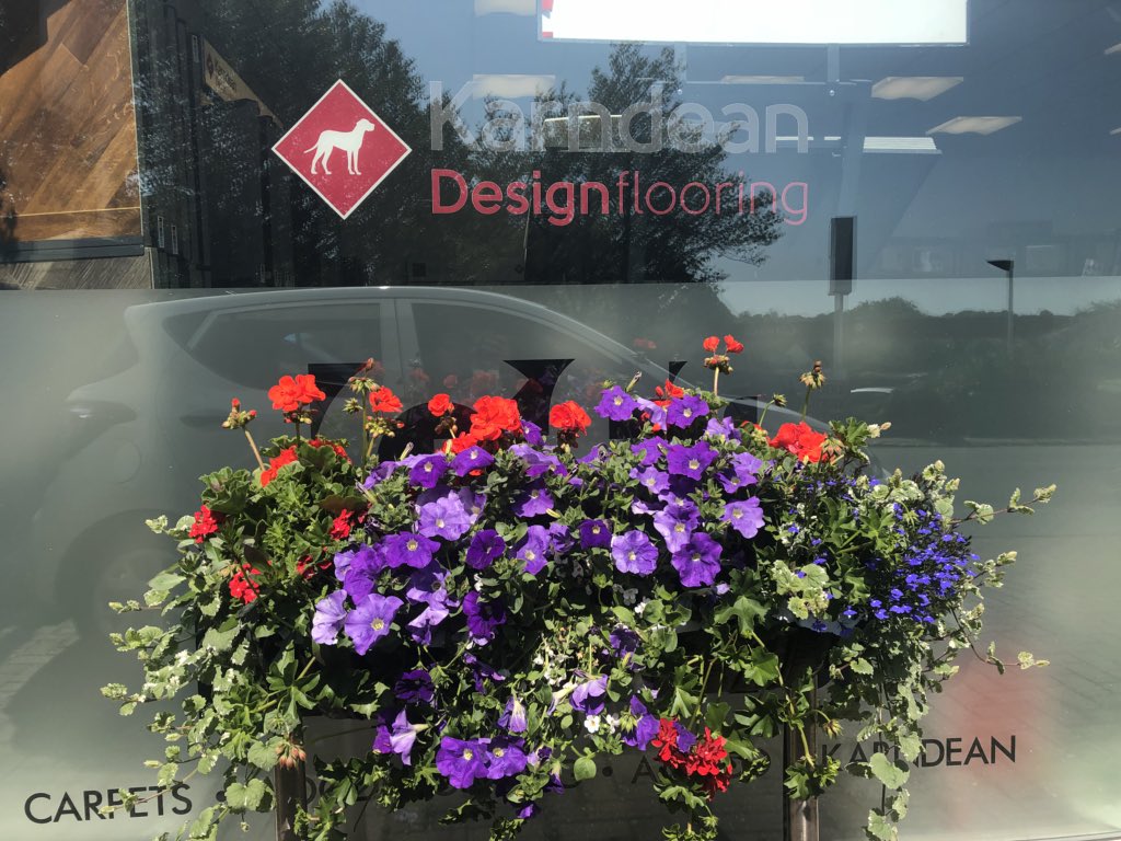 GFFGuernsey's tweet photo. GFF Gardens are available to tidy up your gardens just in time for summer, with garden maintenance, hedge cutting and summer bedding available we are able to brighten up your garden and make it as colourful and stylish in time for summer. https://t.co/RVYHkfd3qt