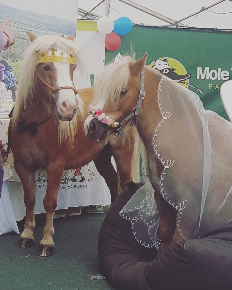 The bride and groom xx <a href="/molevalley/">Mole Valley Farmers</a> <a href="/DevonCountyShow/">Devon County Show</a> #RoyalWedding2018