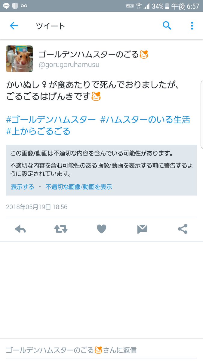 ゴールデンハムスターのごる 超低浮上中 Gorugoruhamusu Twitter