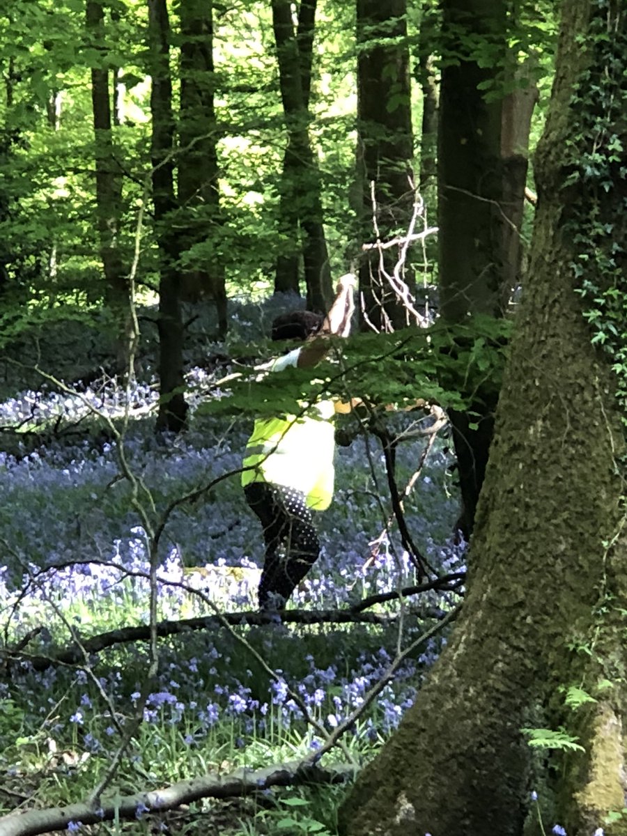 Louise Currie tweet media