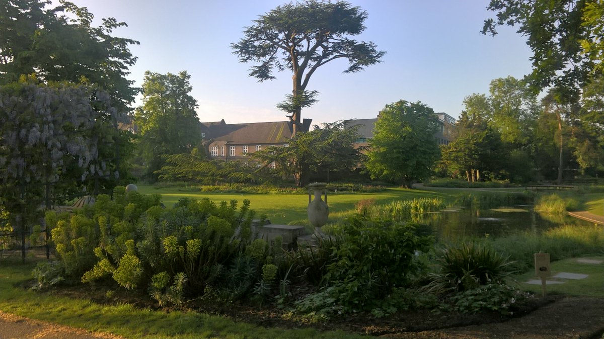 hungry_startup's tweet photo. @KensingtonRoyal @bbcone A beautiful day for a beautiful Bride! England at 5am this morning. The choirs of heaven are ready and the angels are smiling down on a cloudless sky. Two special souls who can't be with you are very much with you in spirit. Enjoy your day Harry &amp; Megan! https://t.co/mHcRjW2fvw