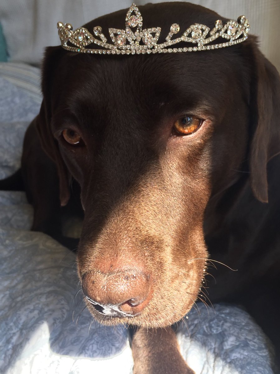 #royalwedding #BBC getting into the spirit of things #HarryAndMeghan