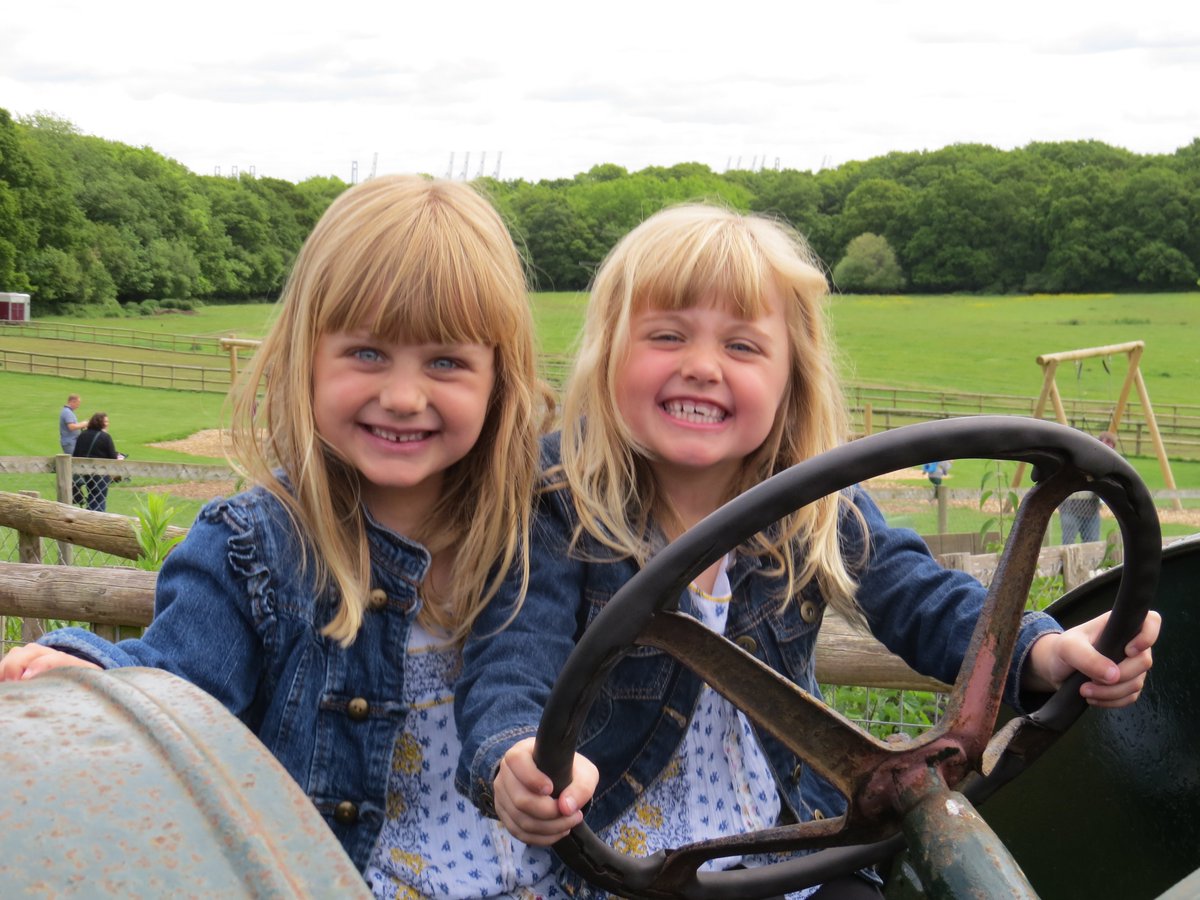 LongdownFarm's tweet image. Longdown Vintage Rally next weekend 26/27 May #coolvintagertractors #greatforkids