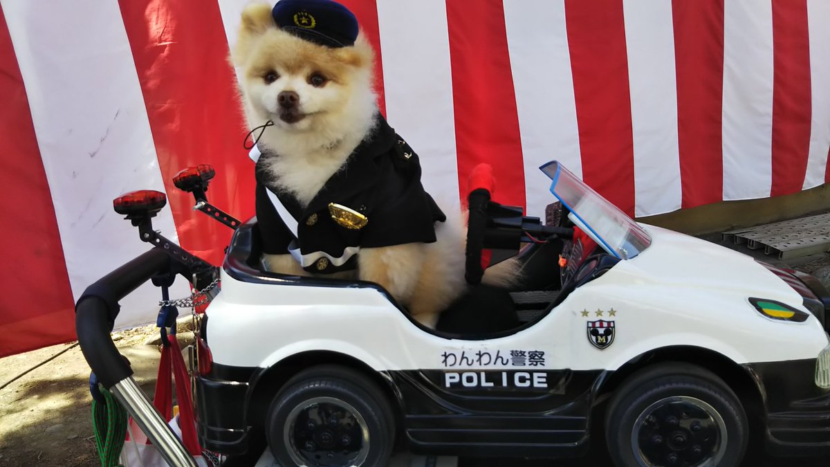 わんわん警察