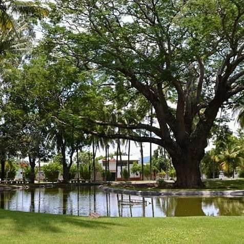 HotelBoutiqueHG's tweet photo. Jardín Parque Hidalgo
Originalmente Paseo del Progreso, fue inaugurado el 5 de mayo de 1912 con motivo de la llegada del ferrocarril. #haciedadelgobernador #hotel #México #hotelesboutiquedemexico #ConoceColima https://t.co/H65SLO6ADG