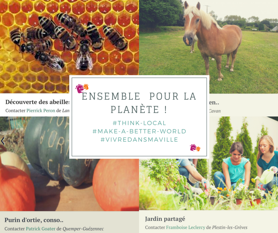 Démarrer une ruche, traiter les plantes par les plantes, mettre en place un jardin partagé, découvrir la permaculture, découvrir les plantes comestibles du littoral, faire une balade à cheval…. ces offres sont déjà disponible sur la plateforme ! #ThinkLocal #transition
