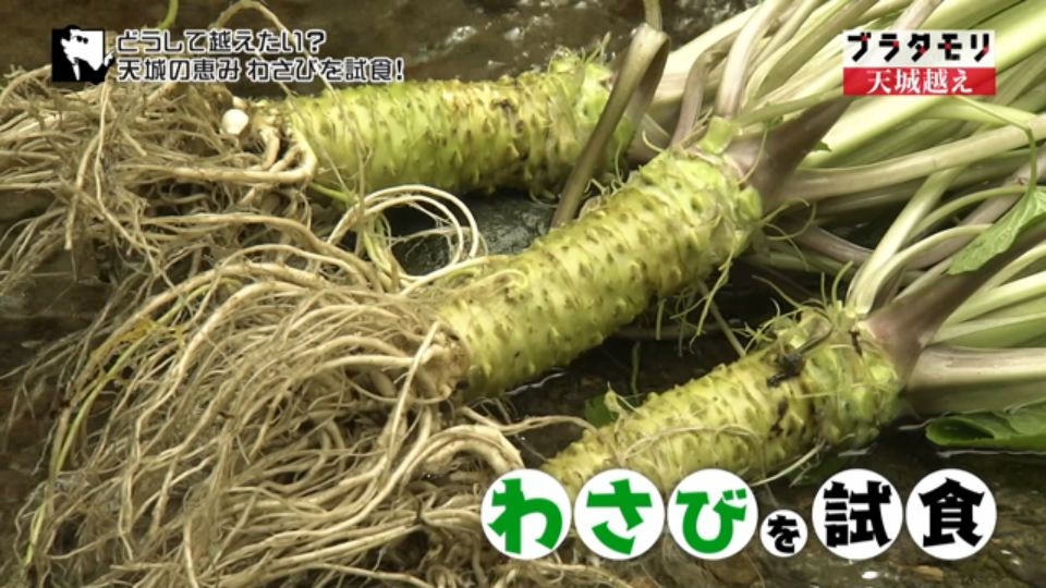 ブラタモリ どうして越えたい天城越え この番組で調査をしている中で初めてわかった事実が Togetter