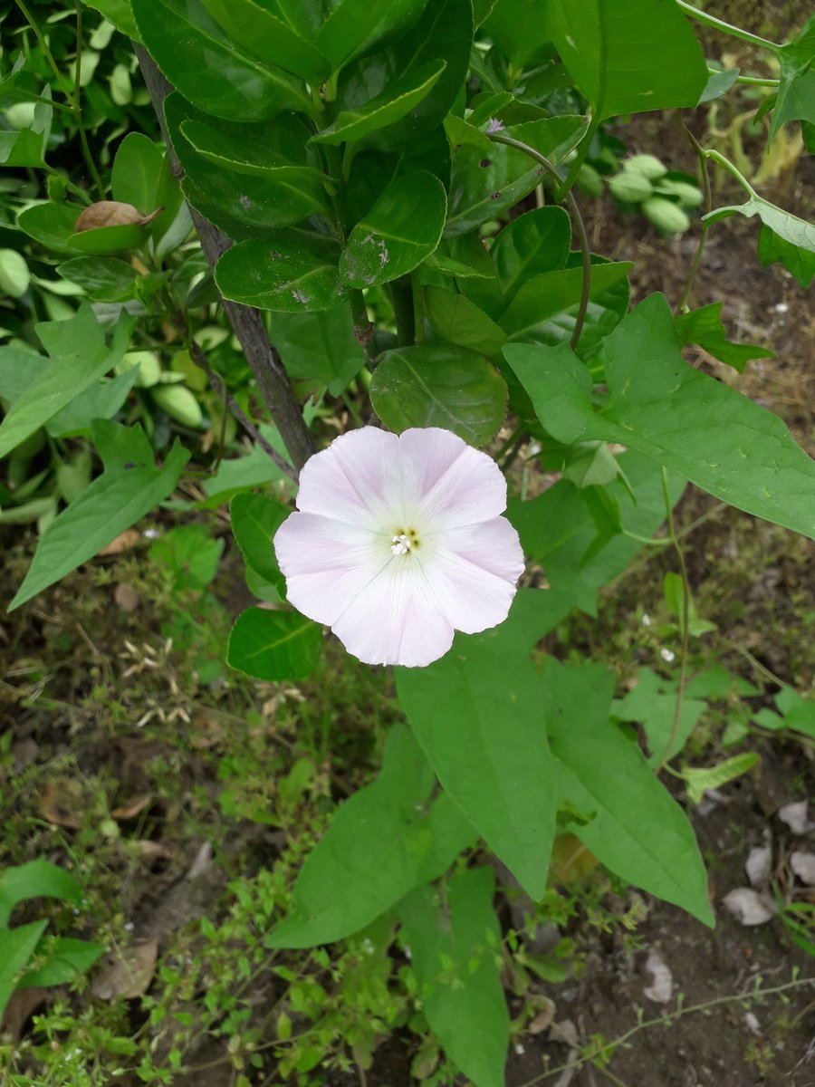 삶의 재미가
어찌 같을 수 있는가
같을 거라 생각 한 이가
본인의 가치를 애기 한 것뿐
각자의 삶에서 행복을 느끼고
그 것을 즐기면 행복 인 것을.....