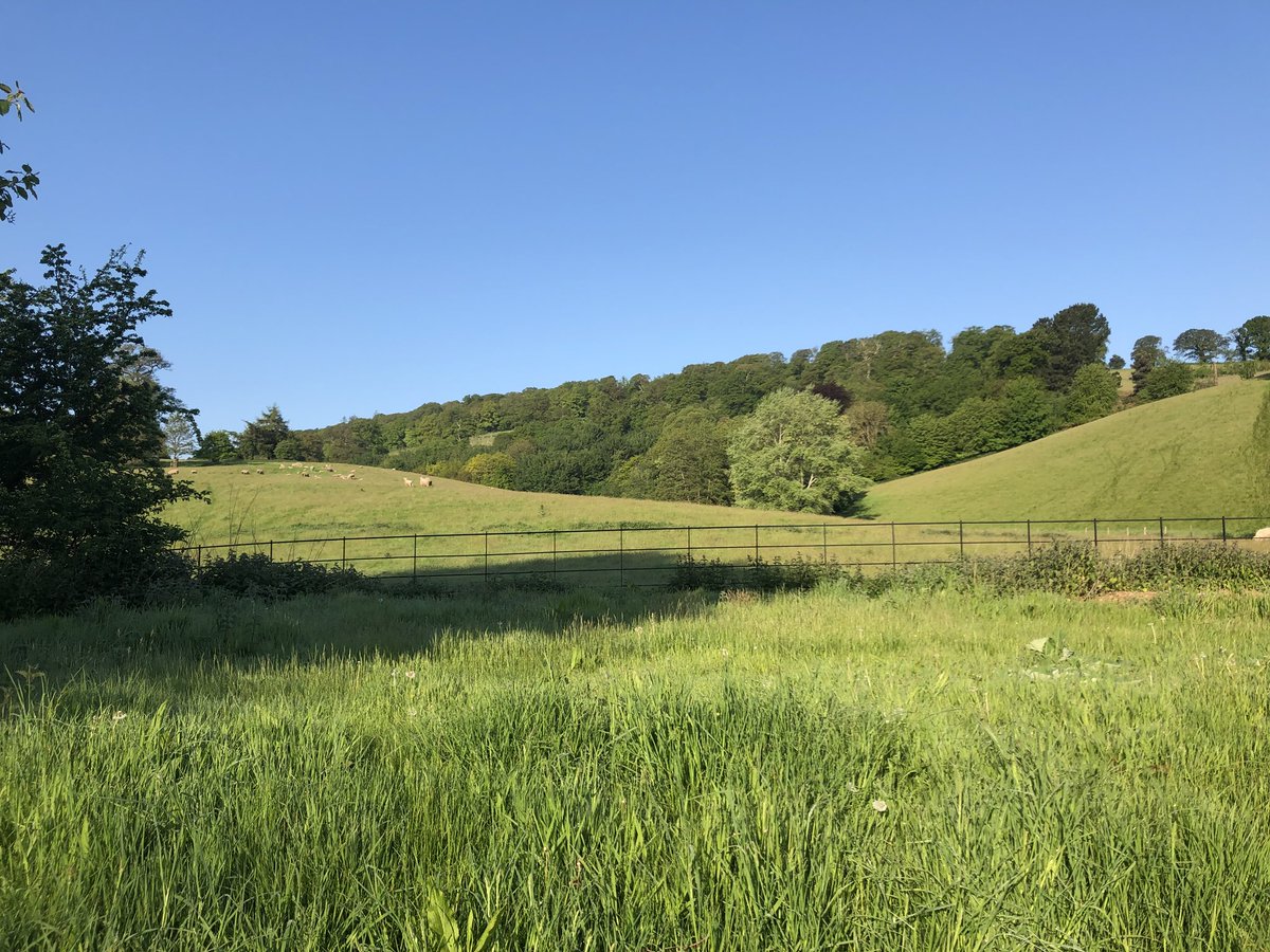 williammonty's tweet photo. Nestled in the Somerset countryside for some preparation for NEA. Great location for #bsfieldtrip Off in Minehead today where royal wedding fever has struck. Weather excellent @BSGeography #geographyteacher https://t.co/sLvZel7ATx