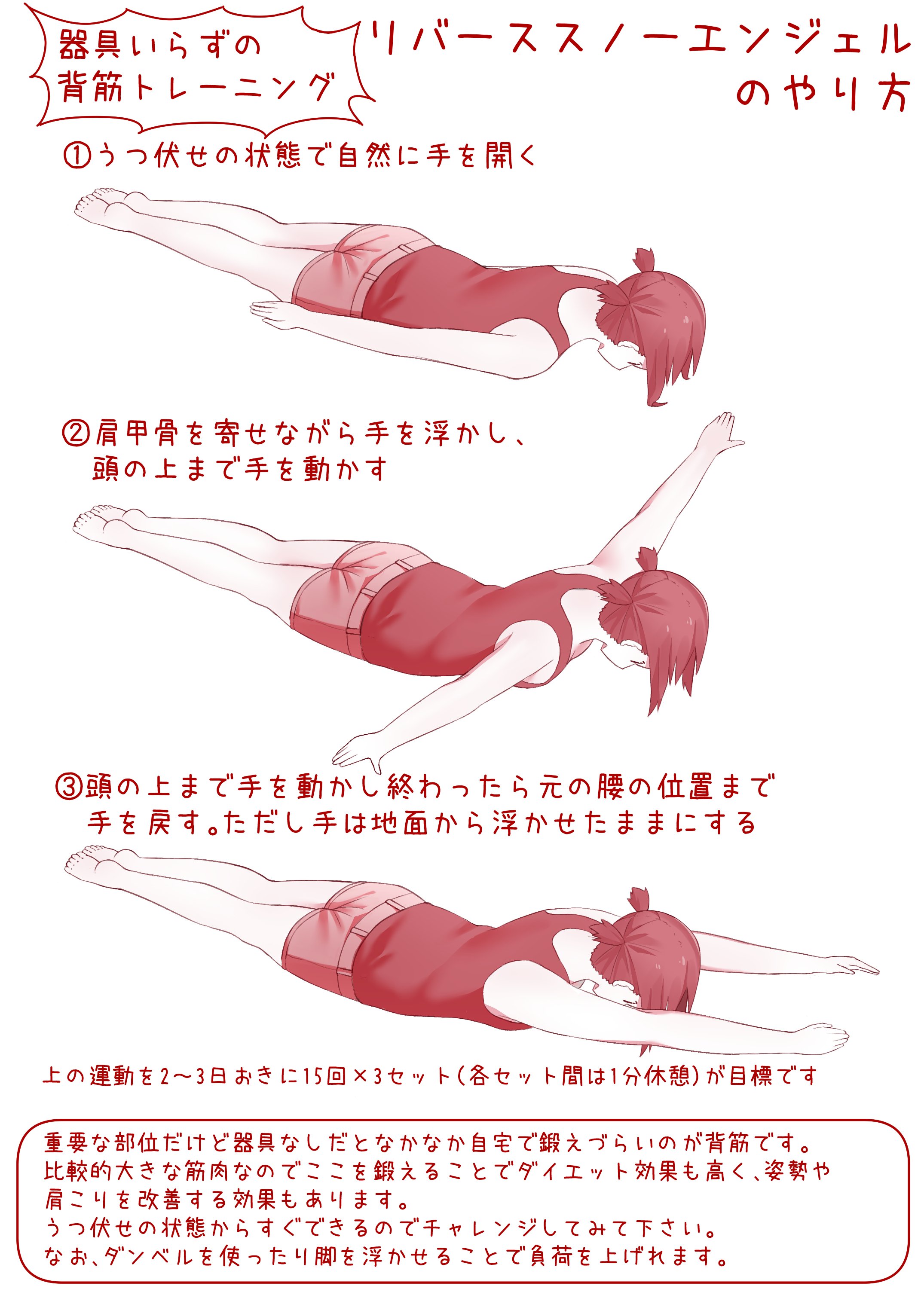 ついったーでもいっしょにとれーにんぐ 今日は器具なしで自宅でできる効果的な背筋トレーニング 背筋はめっちゃ重要な部分で 大きな筋肉なのでここを鍛えるとダイエット効果も高く 肩こりや姿勢改善にも効くという とにかくここに刺激を入れるといいこと