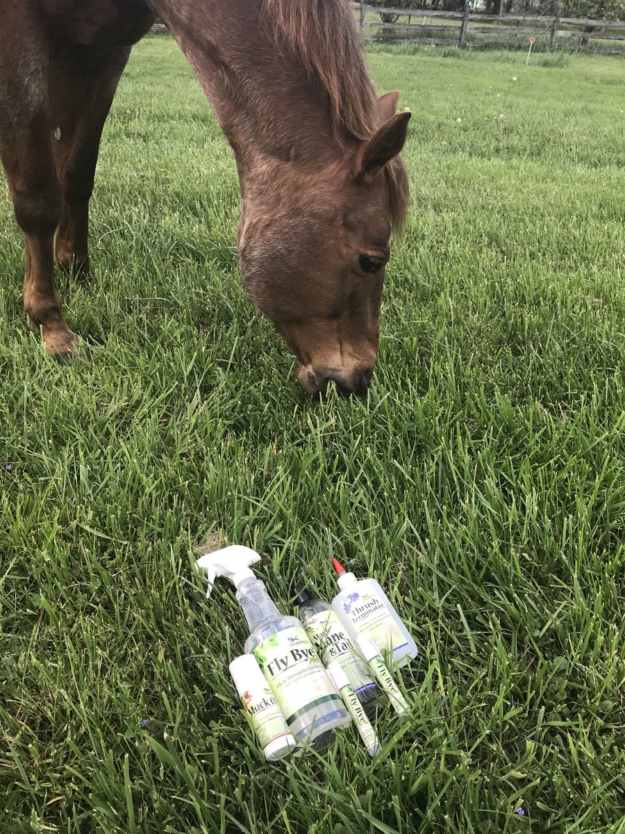 FlyByePlus's tweet image. Guarenteed Horse Products are the best products on the market! Every ingredient in every product is completely natural and is safe to use on any animal of your wishes! Everyone who tries our products falls in love with them!