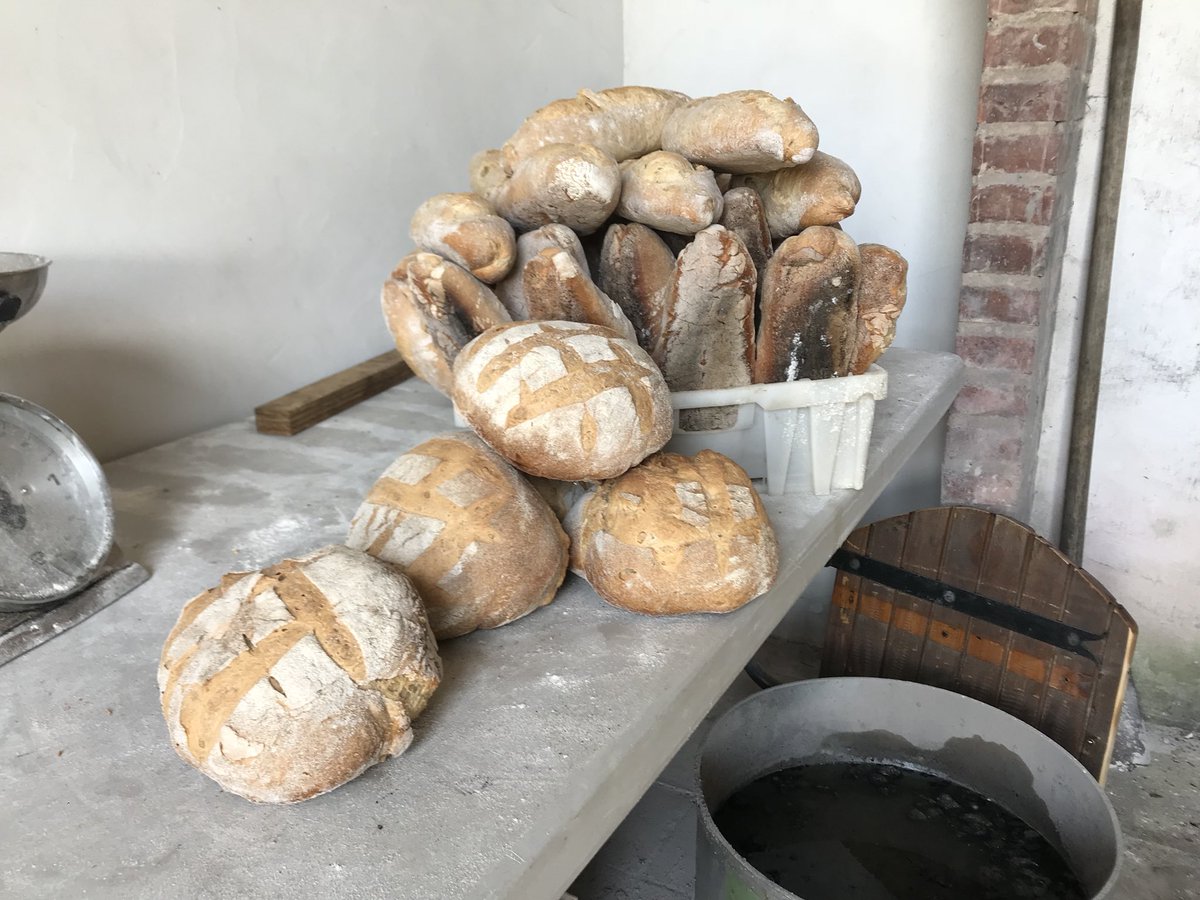 ComiteDeBias's tweet photo. Nous vous attendons nombreux à 14h00 🥖🍞
#Pain #FourAPain #Traditions #Bias https://t.co/xlsUoI0Xtr