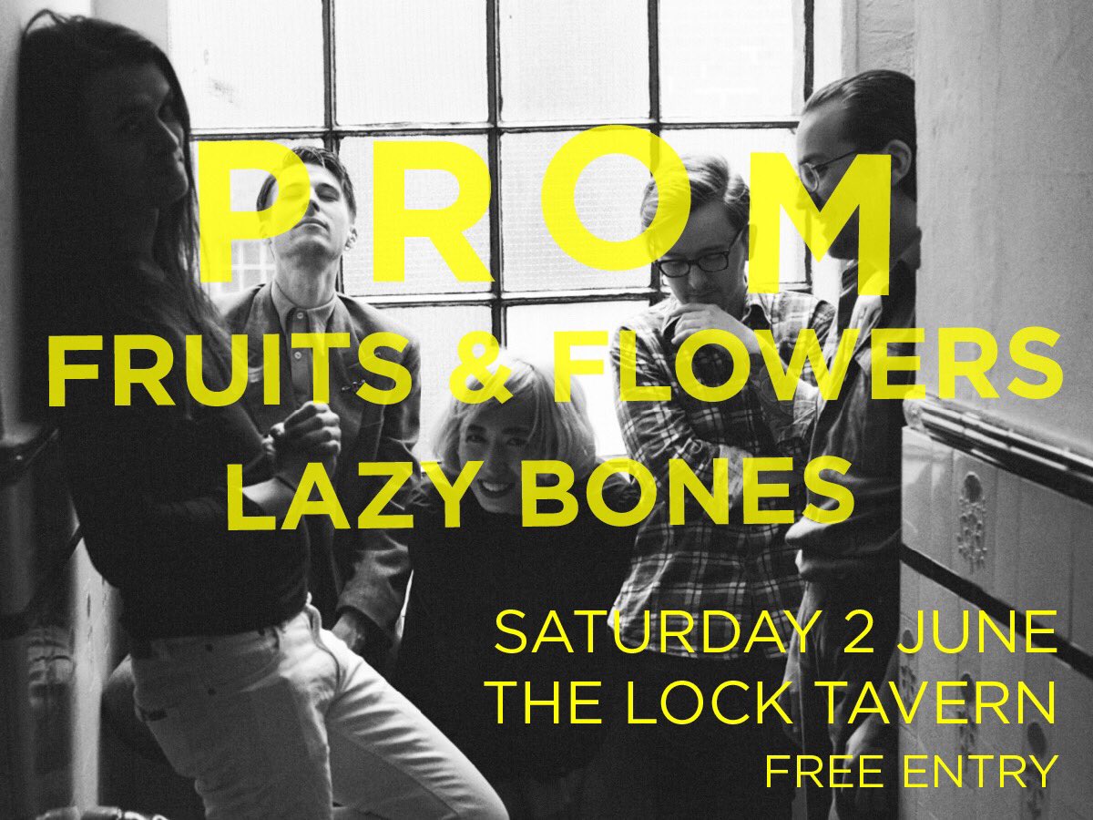 2 weeks at <a href="/thelocktavern/">Lock Tavern</a> with <a href="/fruitxflowers/">Früit & Flöwers</a> &amp; <a href="/Lazybonesband/">Lazybones</a> 📸Lilly Creightmore