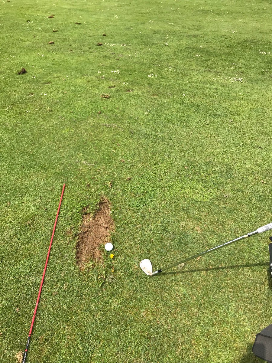 hwinkelhofer's tweet photo. nach dem spiel... #rangeking (@ Golfclub Bad Tatzmannsdorf in Bad Tatzmannsdorf, Bgld.) https://t.co/Dx9RYnRUG5 https://t.co/m5wsC2d6d9