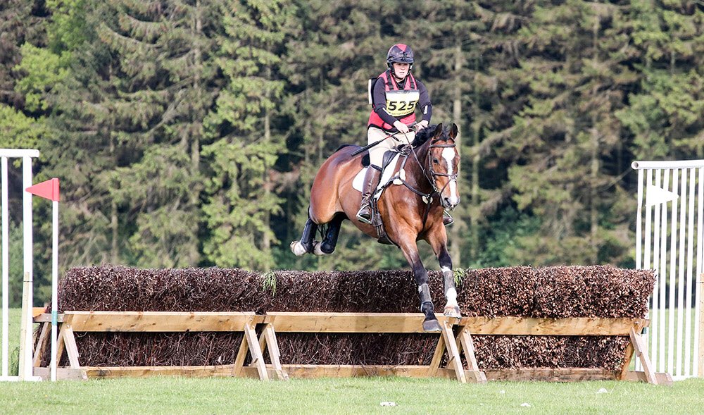 fayester79's tweet photo. Still on a big old learning curve but over the moon to finally get an event completion on Cointreau @cumbriaeventing Warwick Hall today. A lovely friendly event. Huge thank you to the @BEVolunteers who make it all possible #onwardsandupwards #teamtumeric #fuelledbyfibre https://t.co/7Q1RiUiEGj