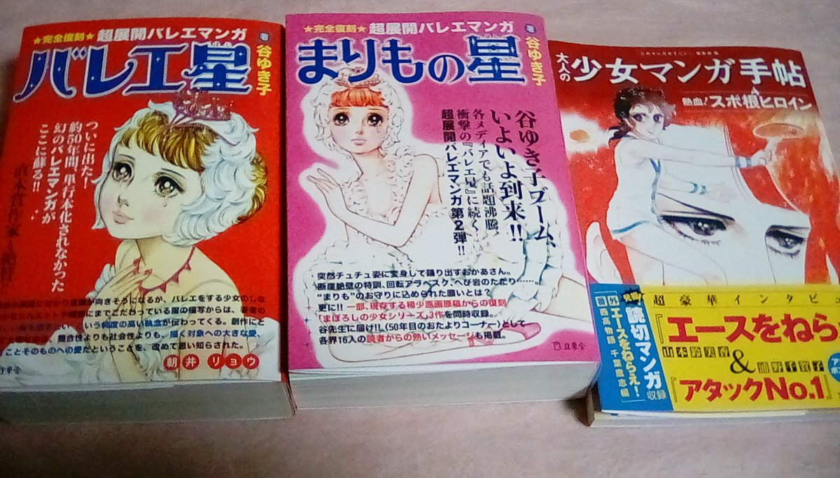 大人の少女漫画手帳 大人の少女漫画手帳
