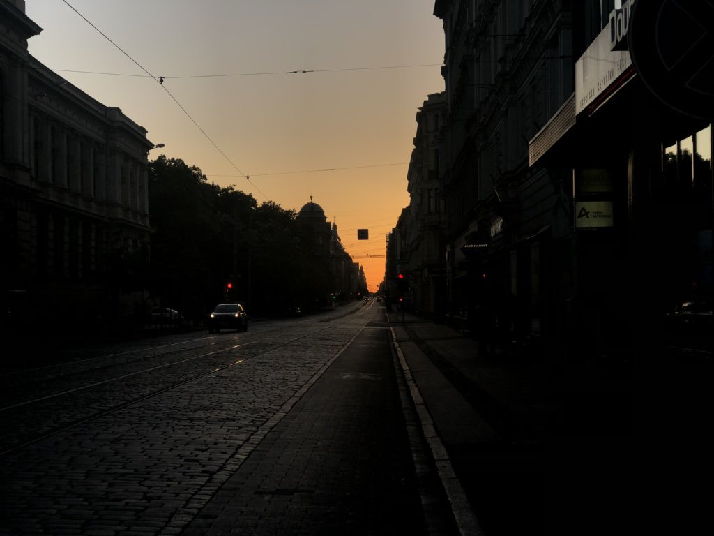 Zintis tweet media
