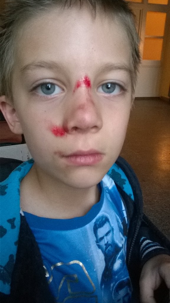 PfifferSabine's tweet photo. Lucifer garázdálkodik nálunk mostanában...😭 Most már elég!!! https://t.co/waFqfg4oaK