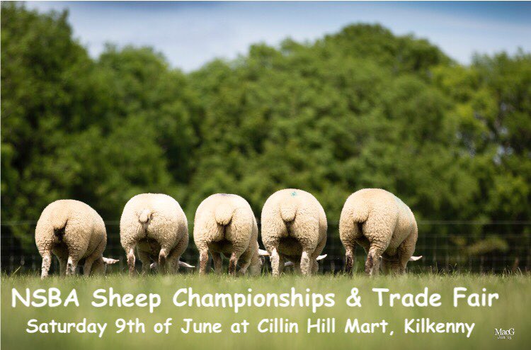 NSBAIreland's tweet photo. NSBA Ireland Championships and Trade Fair on Saturday 9th of June.. follow us for more info on who will be there and what events we have planned for the day #Sheep #Ireland #Championship #Familydayout https://t.co/i9i1uO2hjy