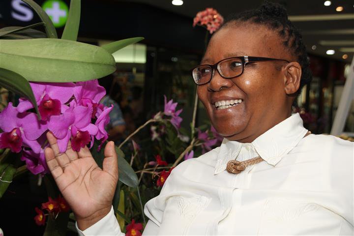 SCoastHerald's tweet photo. PICS: Orchids on display at Hibiscus Mall. https://t.co/j3MlckxNzZ https://t.co/MQQzyQD5M9