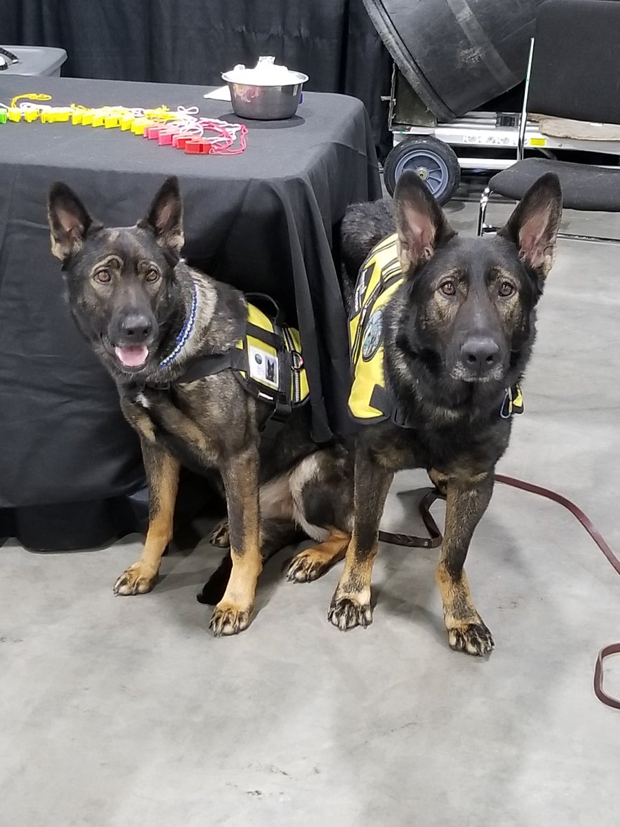 prepperconusa's tweet photo. Utah Search Dogs 1130-11:55
South Red Main Stage 
#preppercon https://t.co/gRS0tXMYNJ