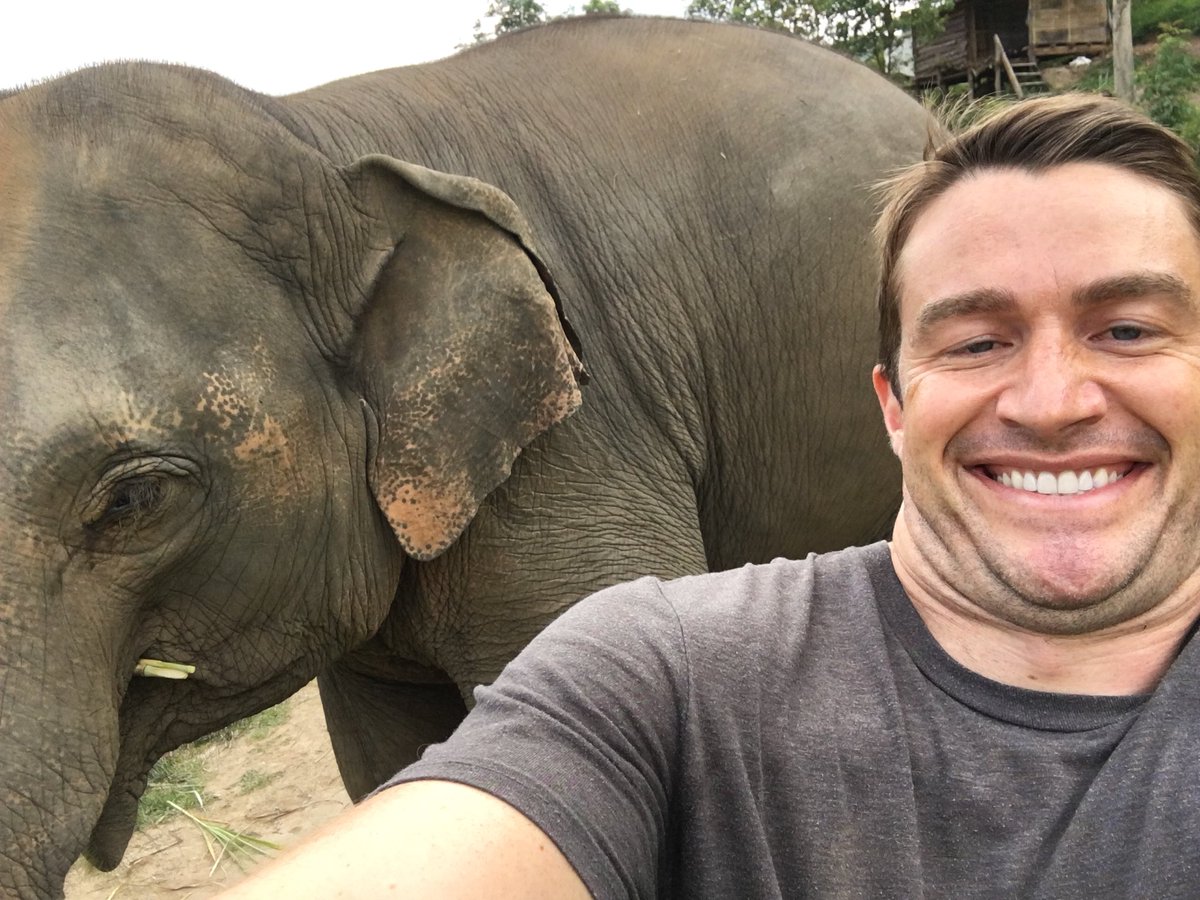 robertbuckley's tweet photo. Horses in Thailand are huge. https://t.co/HUZ9SAvEKM